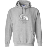 Sweatshirts Sport Grey / Small Moonlight Pullover Hoodie