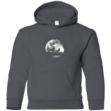 Sweatshirts Charcoal / YS Moonlight Youth Hoodie