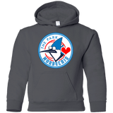 Sweatshirts Charcoal / YS Mordecais Youth Hoodie
