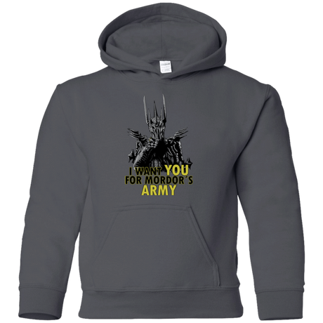 Sweatshirts Charcoal / YS Mordors army Youth Hoodie