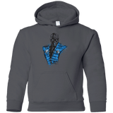 Sweatshirts Charcoal / YS Mortal Ice Youth Hoodie