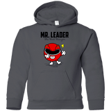 Sweatshirts Charcoal / YS Mr Leader Youth Hoodie