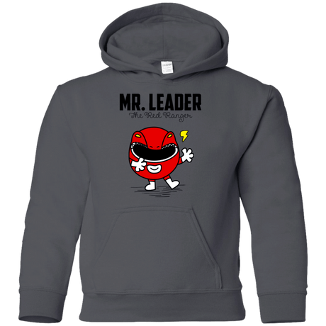 Sweatshirts Charcoal / YS Mr Leader Youth Hoodie