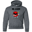 Sweatshirts Dark Heather / YS Mr Leader Youth Hoodie