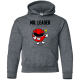 Sweatshirts Dark Heather / YS Mr Leader Youth Hoodie