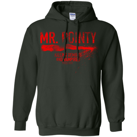 Sweatshirts Forest Green / Small Mr Pointy Pullover Hoodie