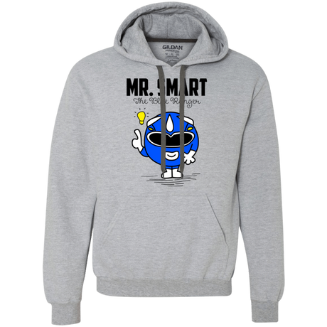 Sweatshirts Sport Grey / Small Mr Smart Premium Fleece Hoodie