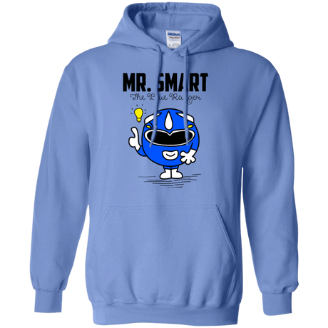 Sweatshirts Carolina Blue / Small Mr Smart Pullover Hoodie