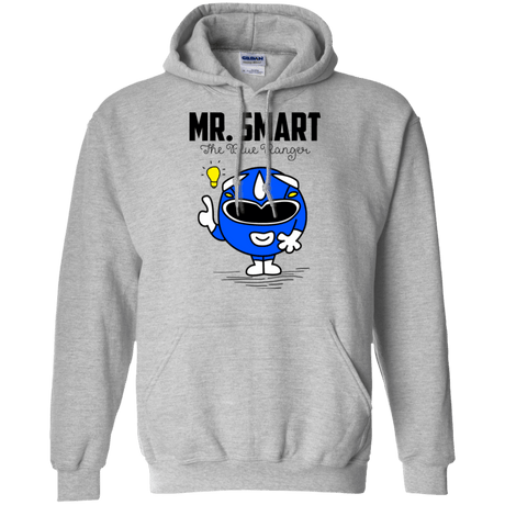 Sweatshirts Sport Grey / Small Mr Smart Pullover Hoodie