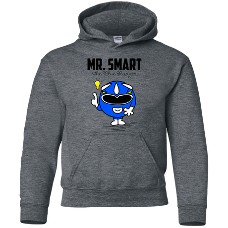 Sweatshirts Dark Heather / YS Mr Smart Youth Hoodie