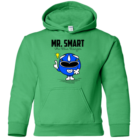 Sweatshirts Irish Green / YS Mr Smart Youth Hoodie