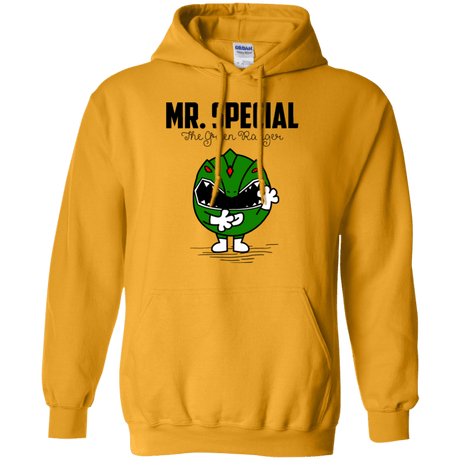 Sweatshirts Gold / Small Mr Special Pullover Hoodie