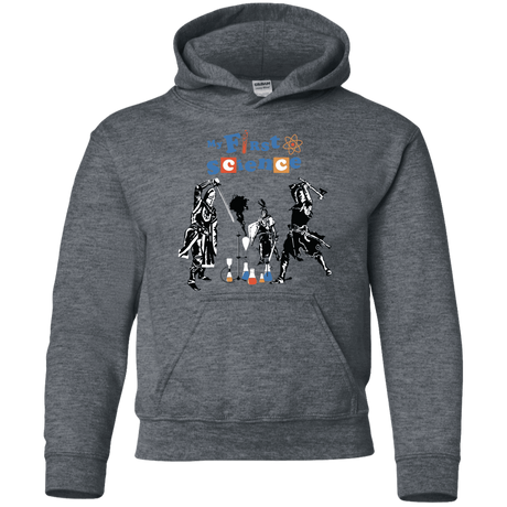Sweatshirts Dark Heather / YS My First Science Youth Hoodie