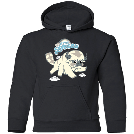 Sweatshirts Black / YS My Little Sky Youth Hoodie
