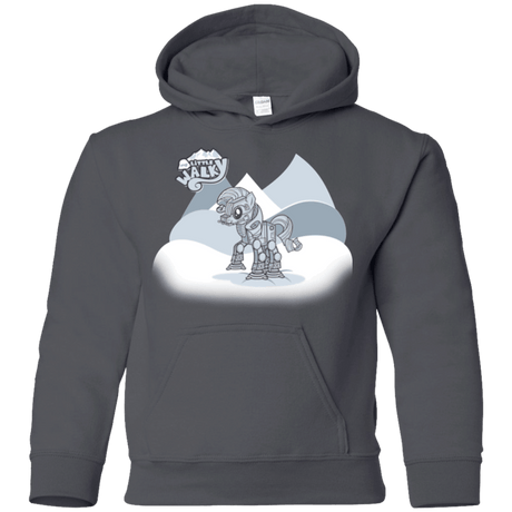 Sweatshirts Charcoal / YS my little walky Youth Hoodie