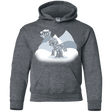 Sweatshirts Dark Heather / YS my little walky Youth Hoodie