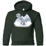 Sweatshirts Forest Green / YS my little walky Youth Hoodie