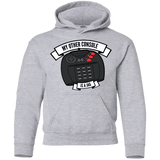 Sweatshirts Sport Grey / YS My Other Console Is A Jag Youth Hoodie