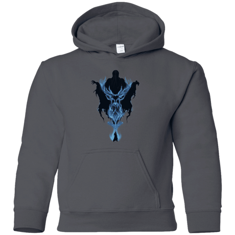 Sweatshirts Charcoal / YS My Patronus Youth Hoodie