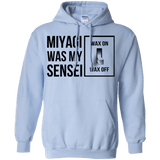 Sweatshirts Light Blue / Small My Sensei Pullover Hoodie