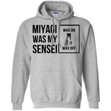 Sweatshirts Sport Grey / Small My Sensei Pullover Hoodie