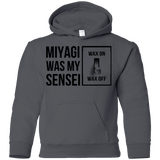 Sweatshirts Charcoal / YS My Sensei Youth Hoodie