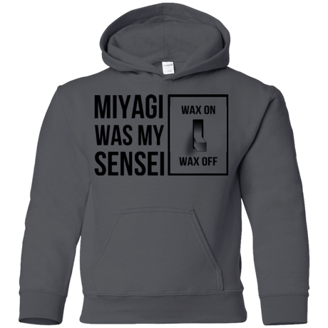 Sweatshirts Charcoal / YS My Sensei Youth Hoodie