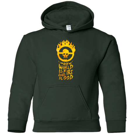 Sweatshirts Forest Green / YS My World Is Fire Youth Hoodie