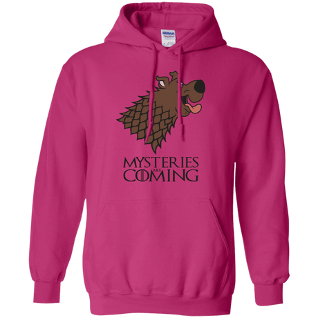 Sweatshirts Heliconia / S Mysteries Are Coming Pullover Hoodie