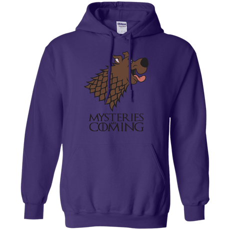 Sweatshirts Purple / S Mysteries Are Coming Pullover Hoodie