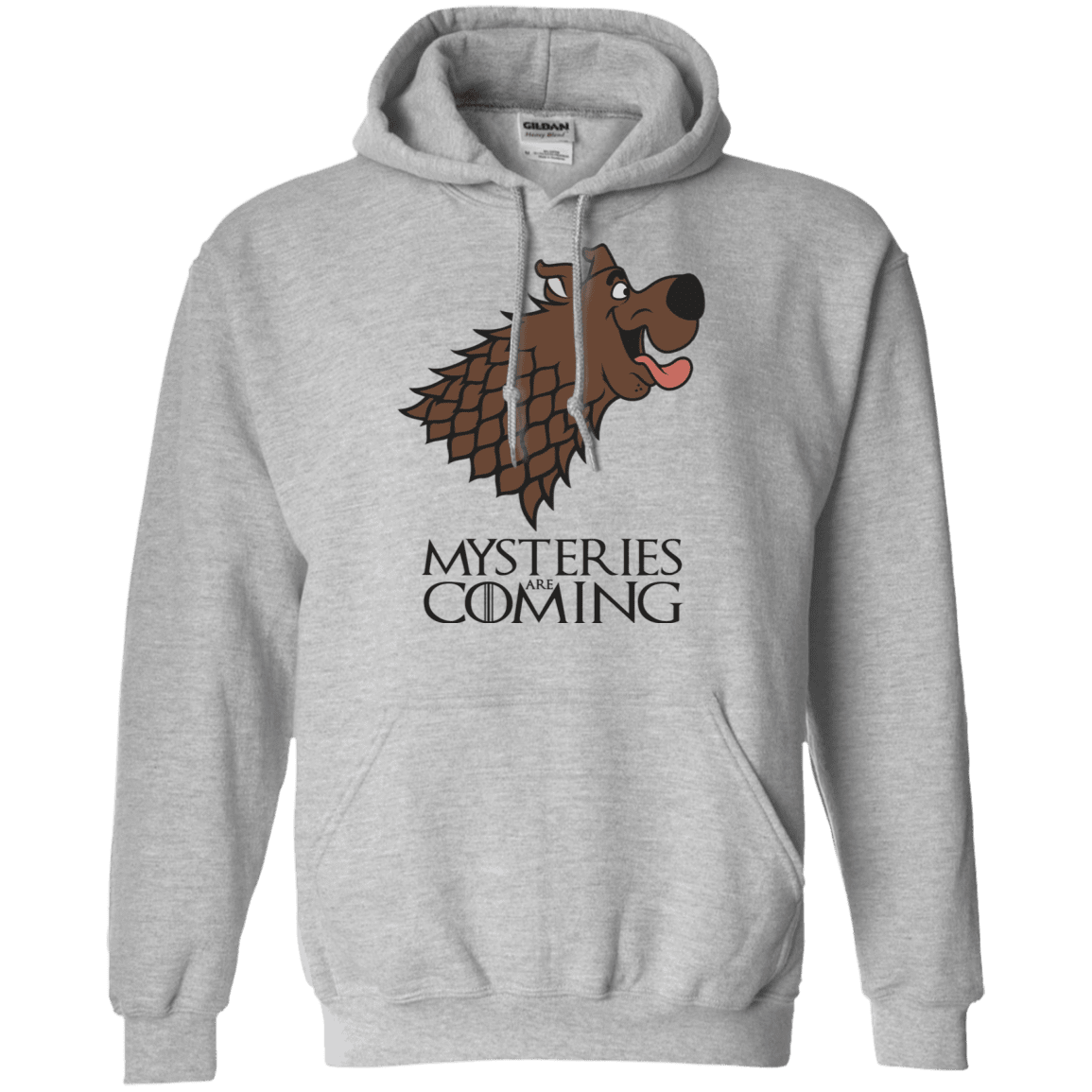 Sweatshirts Sport Grey / S Mysteries Are Coming Pullover Hoodie