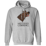 Sweatshirts Sport Grey / S Mysteries Are Coming Pullover Hoodie