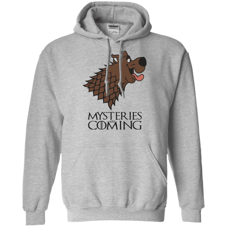 Sweatshirts Sport Grey / S Mysteries Are Coming Pullover Hoodie