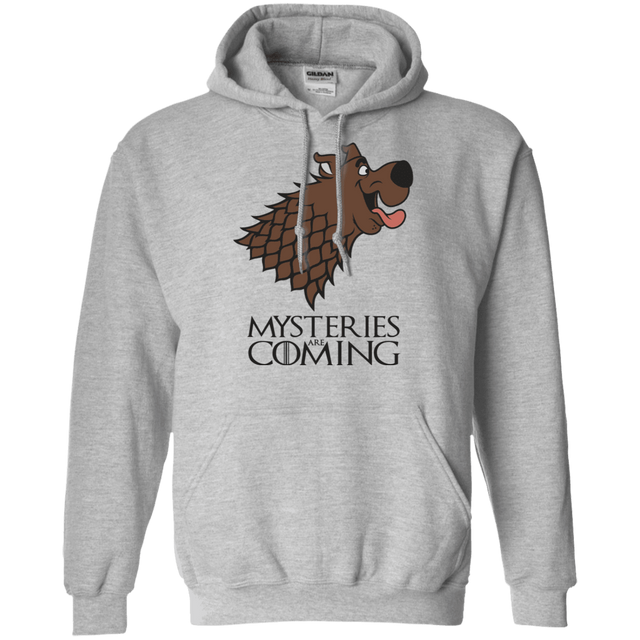 Sweatshirts Sport Grey / S Mysteries Are Coming Pullover Hoodie