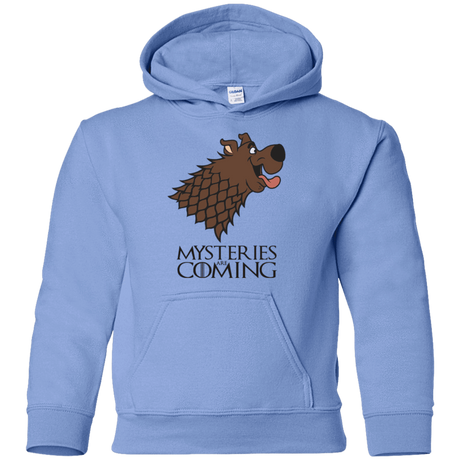 Sweatshirts Carolina Blue / YS Mysteries Are Coming Youth Hoodie