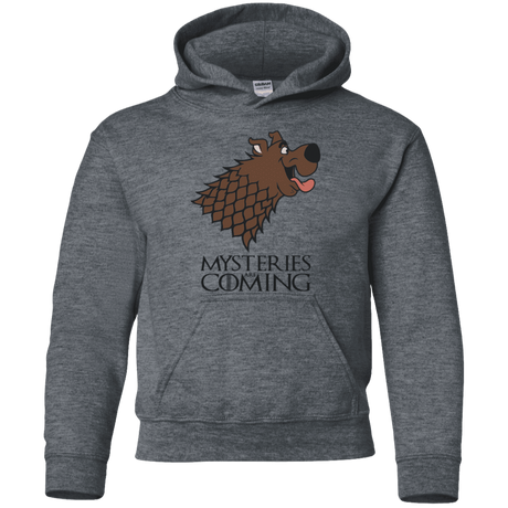 Sweatshirts Dark Heather / YS Mysteries Are Coming Youth Hoodie