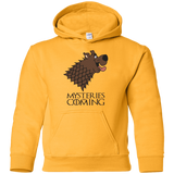 Sweatshirts Gold / YS Mysteries Are Coming Youth Hoodie