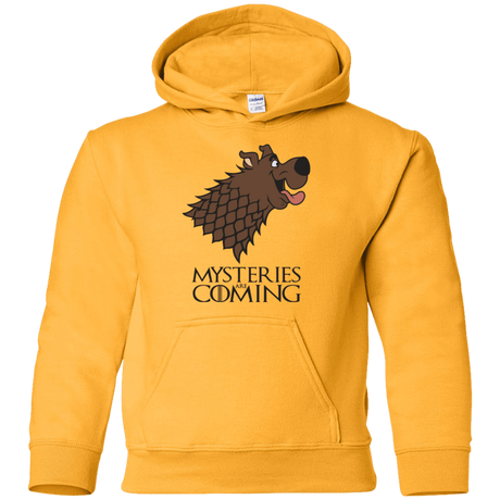 Sweatshirts Gold / YS Mysteries Are Coming Youth Hoodie