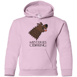 Sweatshirts Light Pink / YS Mysteries Are Coming Youth Hoodie