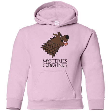 Sweatshirts Light Pink / YS Mysteries Are Coming Youth Hoodie