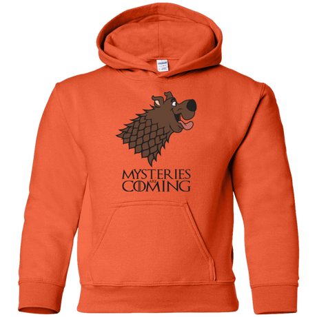 Sweatshirts Orange / YS Mysteries Are Coming Youth Hoodie