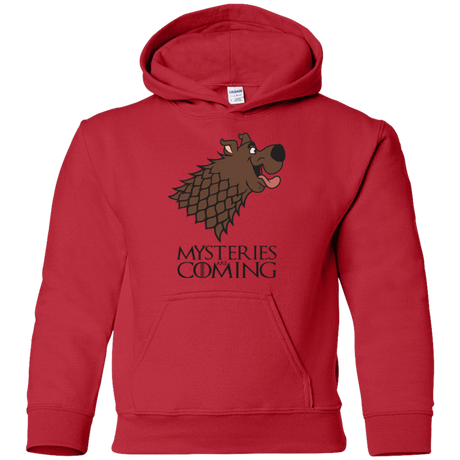 Sweatshirts Red / YS Mysteries Are Coming Youth Hoodie