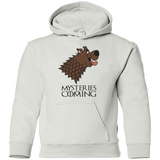 Sweatshirts White / YS Mysteries Are Coming Youth Hoodie