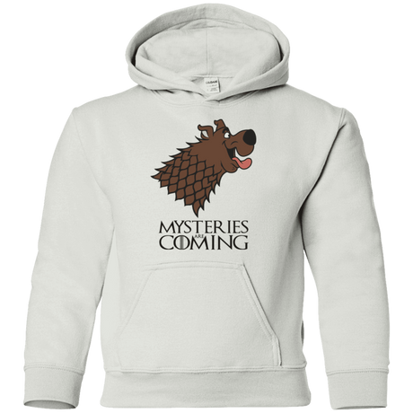 Sweatshirts White / YS Mysteries Are Coming Youth Hoodie