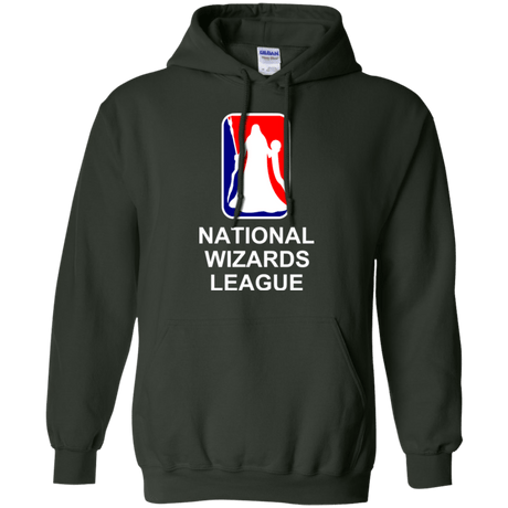 Sweatshirts Forest Green / Small National Wizards League Pullover Hoodie