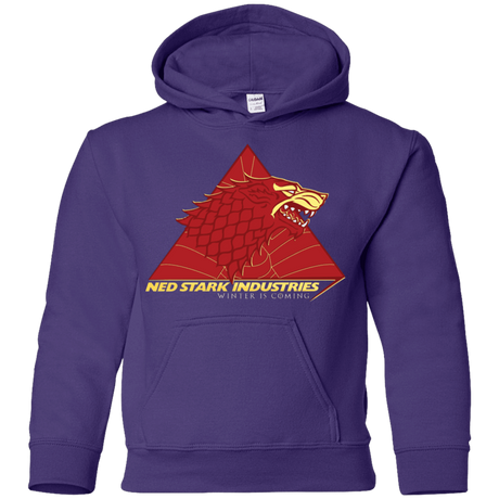 Sweatshirts Purple / YS Ned Stark Industries Youth Hoodie