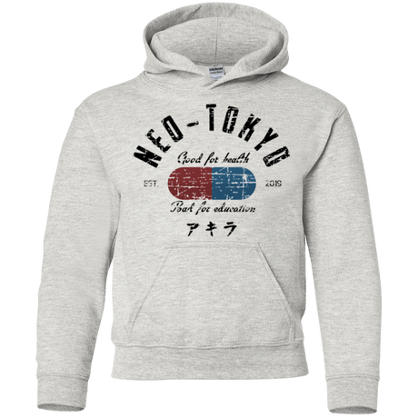 Sweatshirts Ash / YS Neo Tokyo Youth Hoodie
