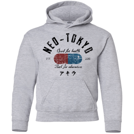 Sweatshirts Sport Grey / YS Neo Tokyo Youth Hoodie