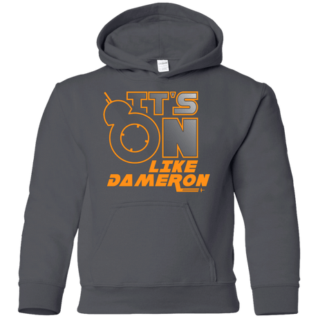 Sweatshirts Charcoal / YS NES On Like Dameron Youth Hoodie