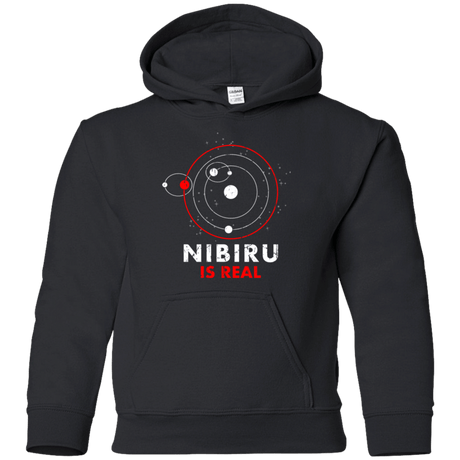 Sweatshirts Black / YS Nibiru is Real Youth Hoodie